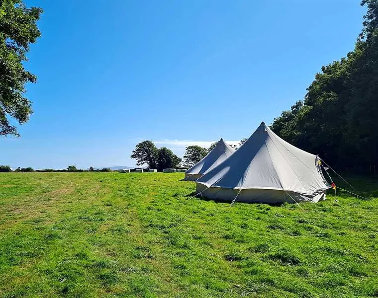 donkey-down-camping-at-culliford-tree-dorchester-nuuah