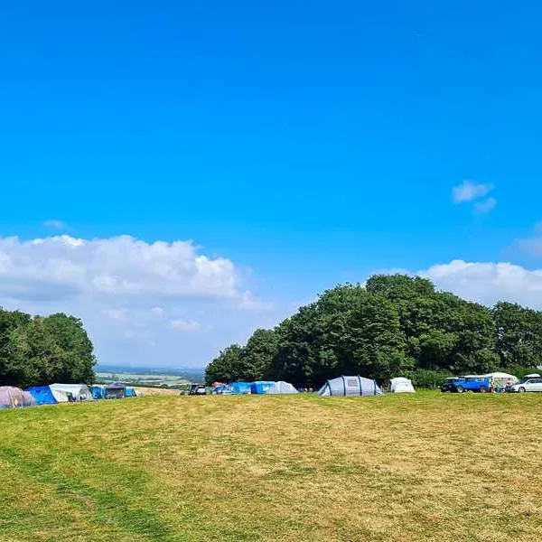 donkey-down-camping-at-culliford-tree-dorchester-yltoy
