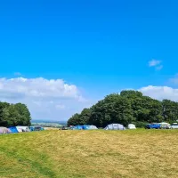 donkey-down-camping-at-culliford-tree-dorchester-yltoy