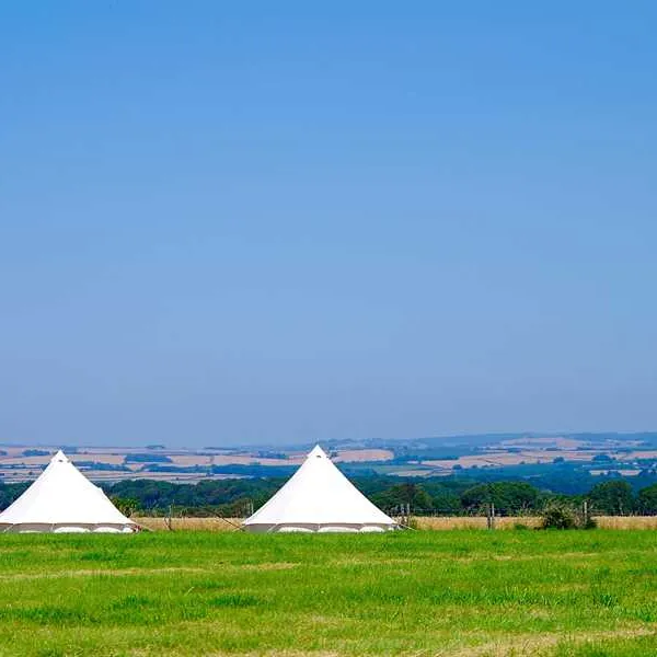 donkey-down-camping-at-culliford-tree-dorchester-yri8c