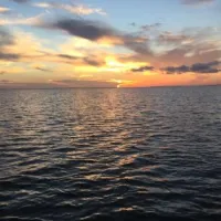 Galveston Island RV Resort