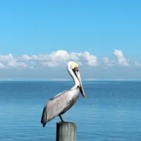 anglers-rv-campground-cedar-key-6httr