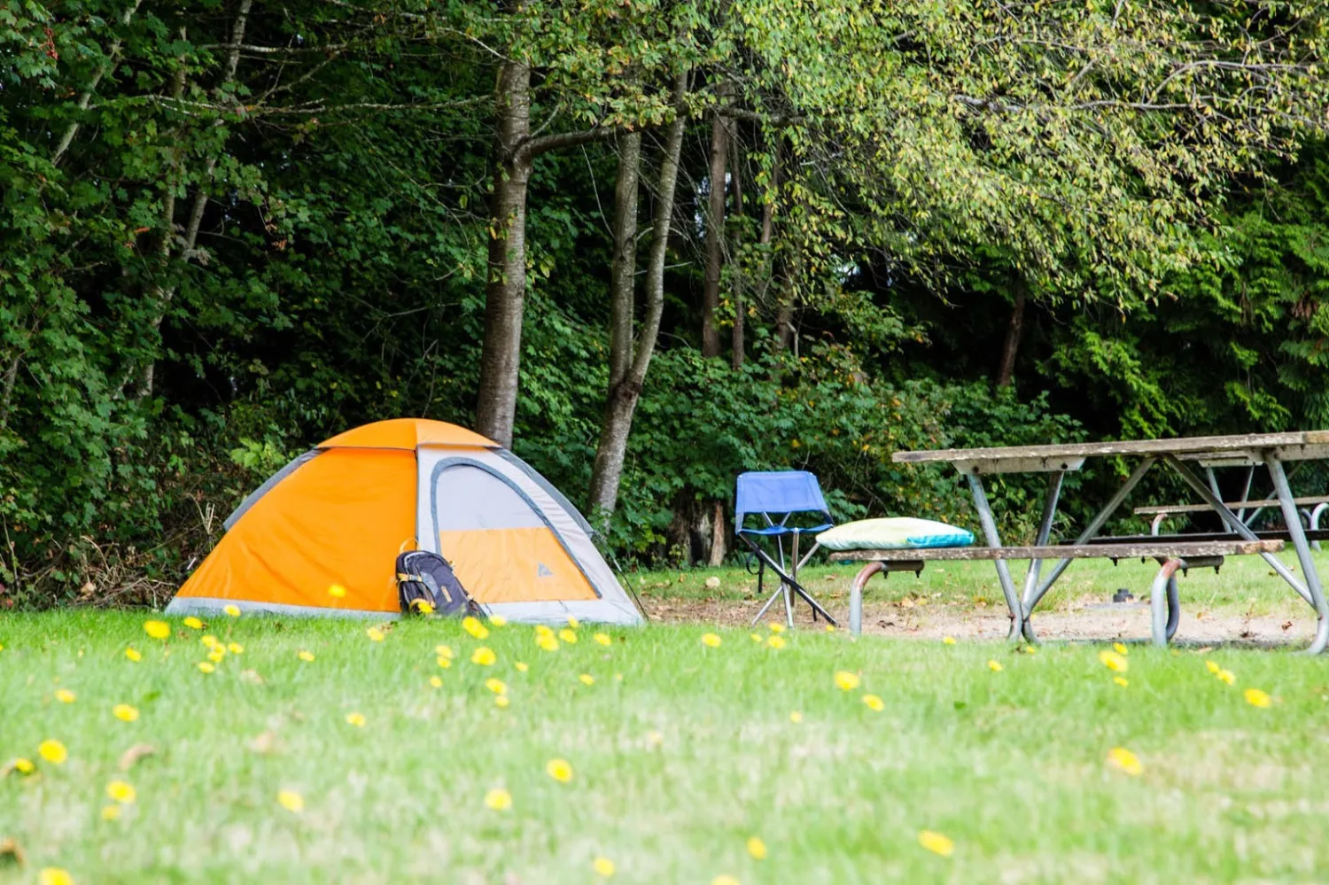 birch-bay-rv-campground-blaine-bihoq