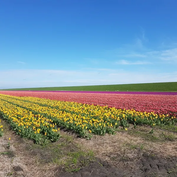 de-terp-texel-ujgj4