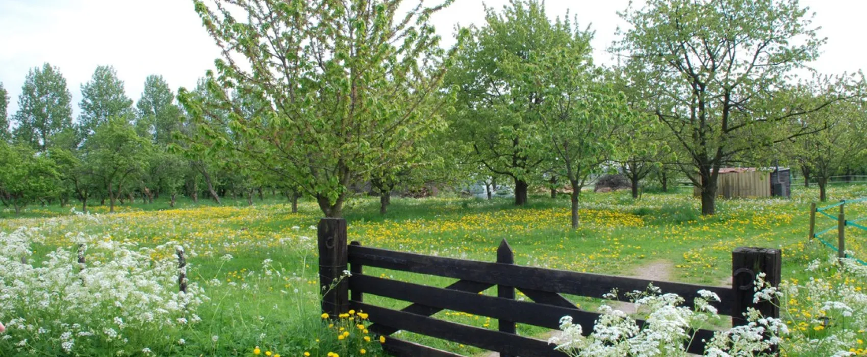 De Vijverhof