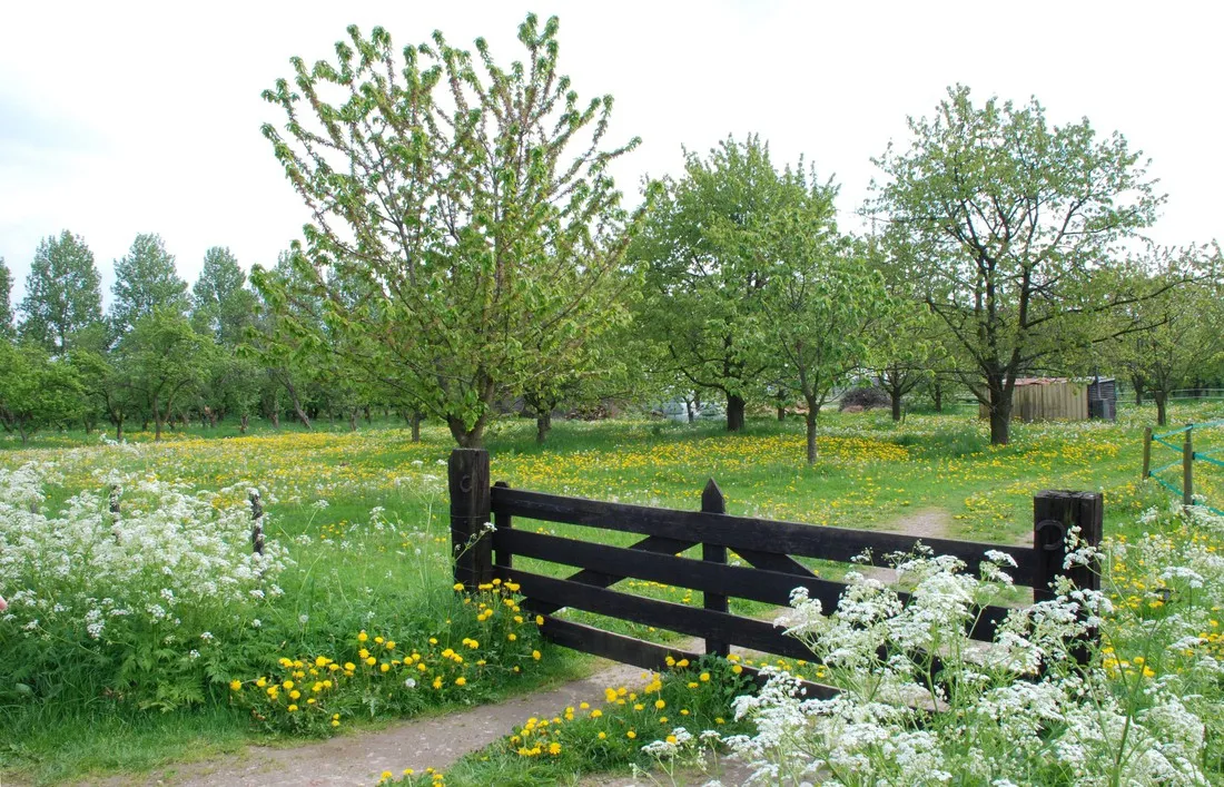 de-vijverhof-ommeren-iw7ks