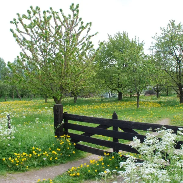 de-vijverhof-ommeren-iw7ks