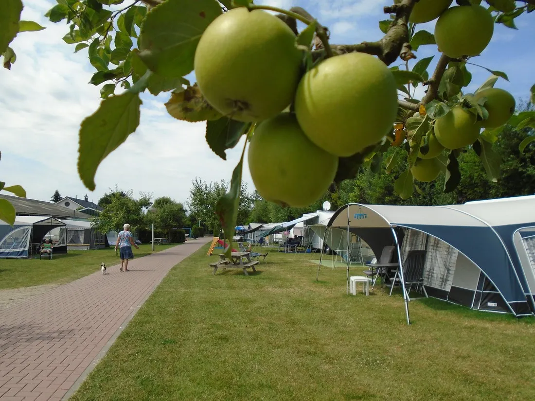 de-vijverhof-ommeren-k5opf