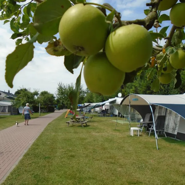de-vijverhof-ommeren-k5opf