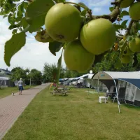 de-vijverhof-ommeren-k5opf