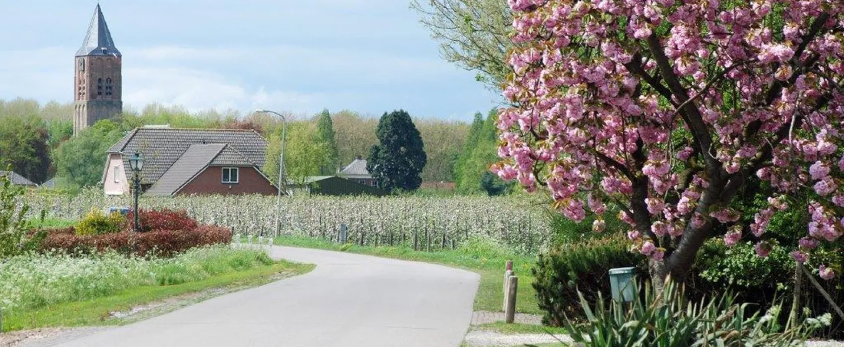 De Vijverhof