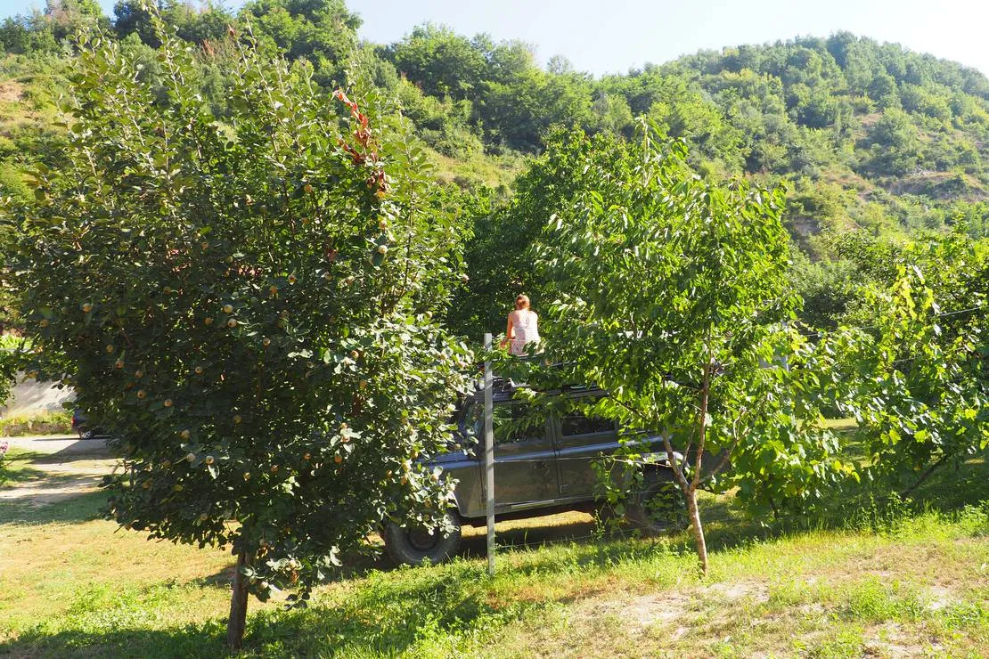camping-kapxhiu-peshkopi-5jxg5