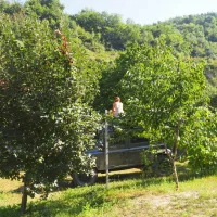 camping-kapxhiu-peshkopi-5jxg5