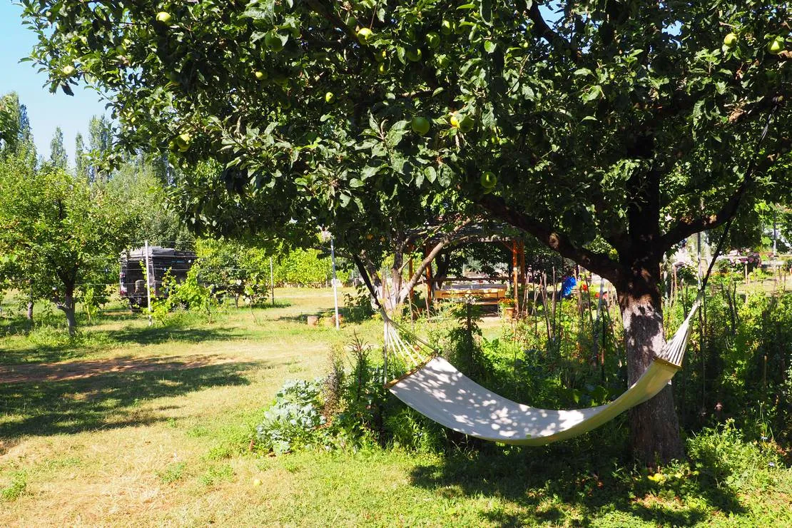 camping-kapxhiu-peshkopi-ksoff