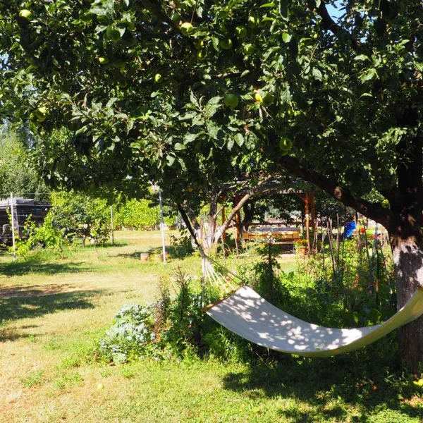 camping-kapxhiu-peshkopi-ksoff