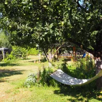 camping-kapxhiu-peshkopi-ksoff