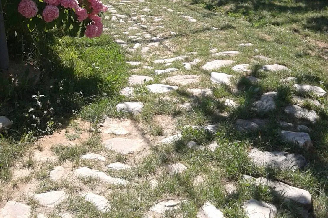camping-kapxhiu-peshkopi-rosd4