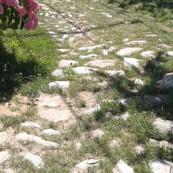 camping-kapxhiu-peshkopi-rosd4