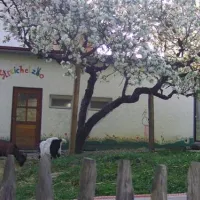 campingplatz-schwarzfelder-hof-leipheim-58oql