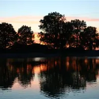 campingplatz-schwarzfelder-hof-leipheim-dwifo