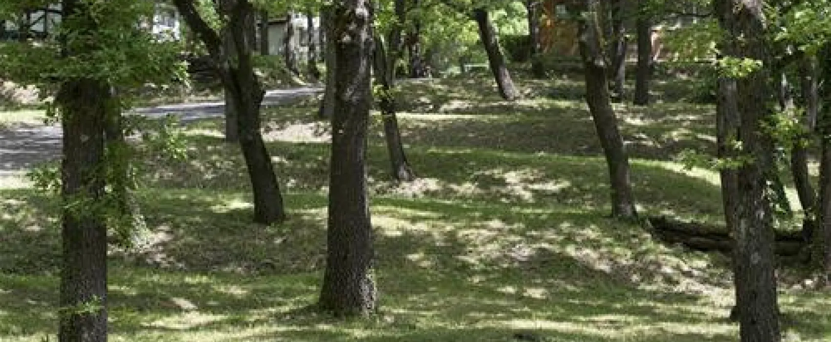 Camping le Querce
