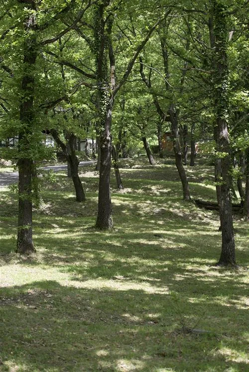 camping-le-querce-riovggio-di-monzuno-kxmnd