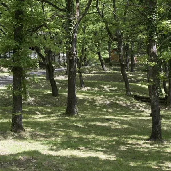 camping-le-querce-riovggio-di-monzuno-kxmnd