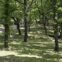 Camping le Querce