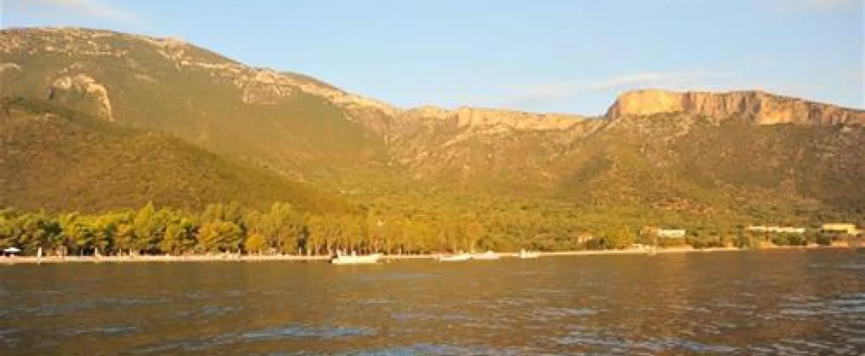 Camping Zaritsi