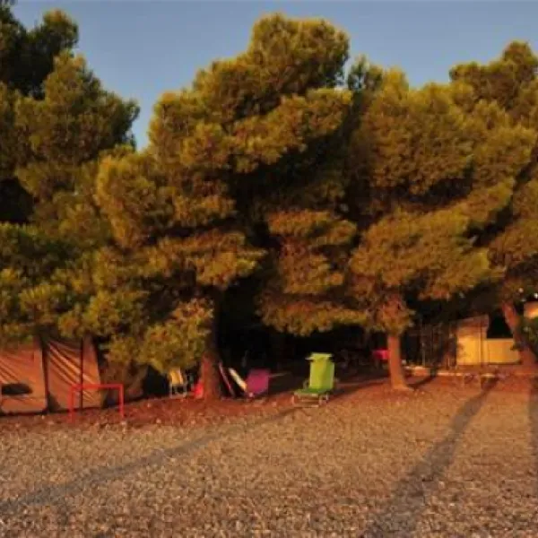 camping-zaritsi-tirosarcadia-vqngk