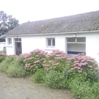 Camping Larenvoie