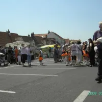 camping-municipal-les-ajoncs-audresselles-ivpfb
