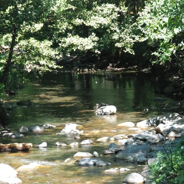 camping-le-canigou-espira-de-conflent-0rbw0
