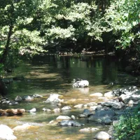camping-le-canigou-espira-de-conflent-0rbw0