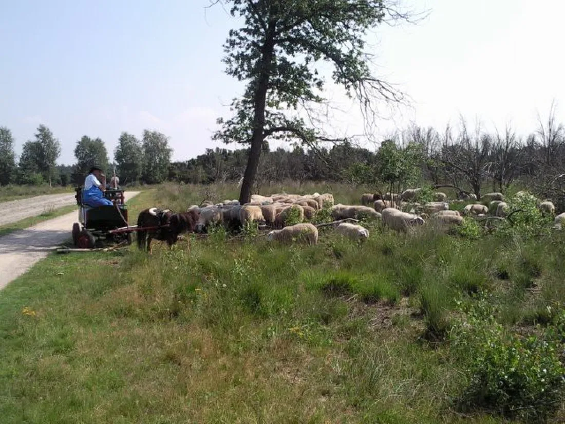 camping-de-keite-markelo-y63w2