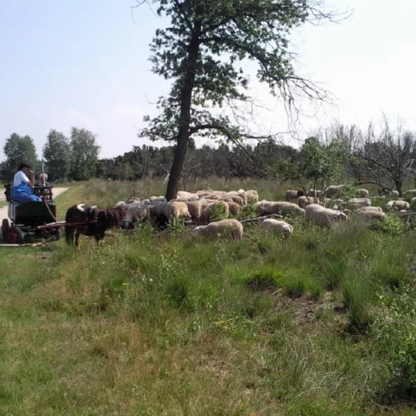 camping-de-keite-markelo-y63w2