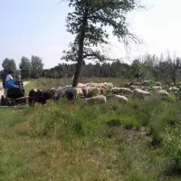 camping-de-keite-markelo-y63w2