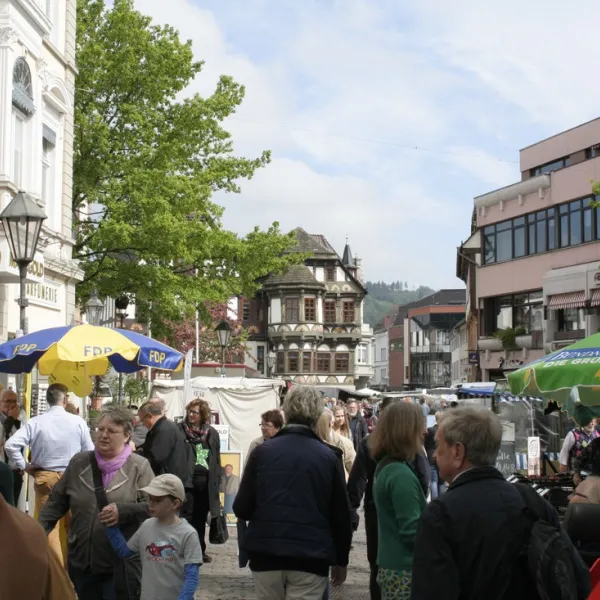 wesercamping-hxter-hxter-rozoi
