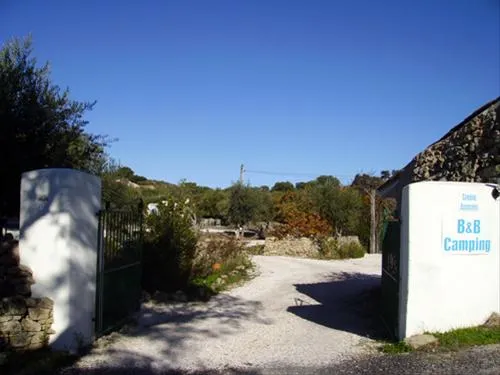 camping-asseiceira-asseiceira-n0kpe