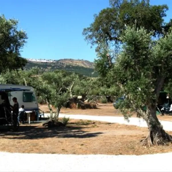 camping-asseiceira-asseiceira-pbzju