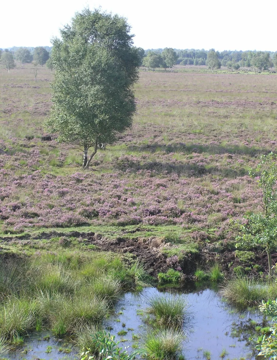 naturistencamping-panta-rhei-erica-q6qu6