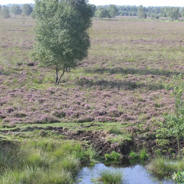 naturistencamping-panta-rhei-erica-q6qu6