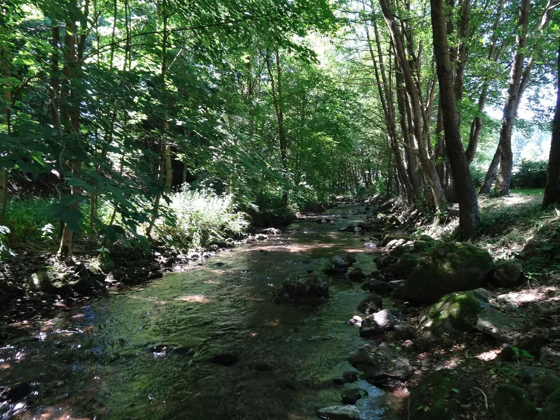 waldcampingplatz-meyersgrund-ilmenau-c8f5v