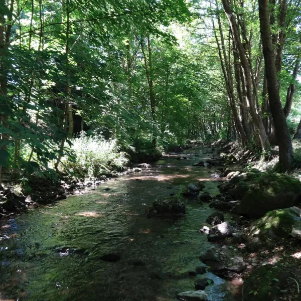 waldcampingplatz-meyersgrund-ilmenau-c8f5v