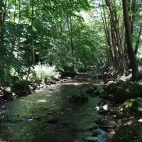 waldcampingplatz-meyersgrund-ilmenau-c8f5v