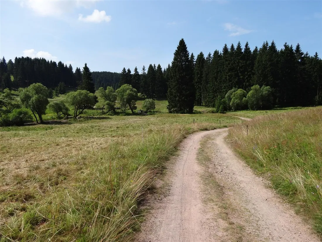 waldcampingplatz-meyersgrund-ilmenau-srcms