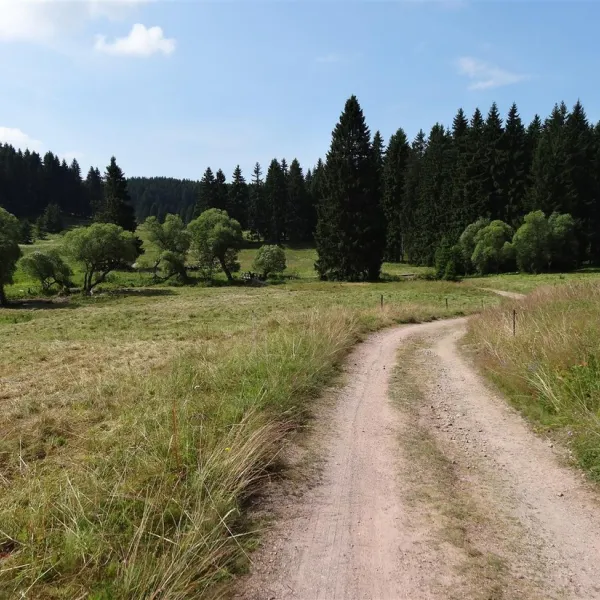 waldcampingplatz-meyersgrund-ilmenau-srcms