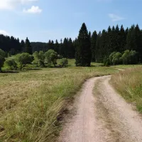 waldcampingplatz-meyersgrund-ilmenau-srcms
