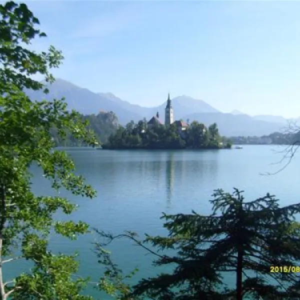 camping-bled-bled-1drlj