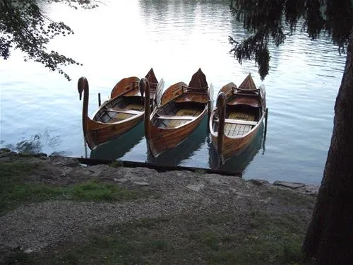 camping-bled-bled-fvrcg